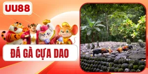 Đá Gà Cựa Dao Bùng Nổ 500+ Trận Đấu Mãn Nhãn Mới Nhất